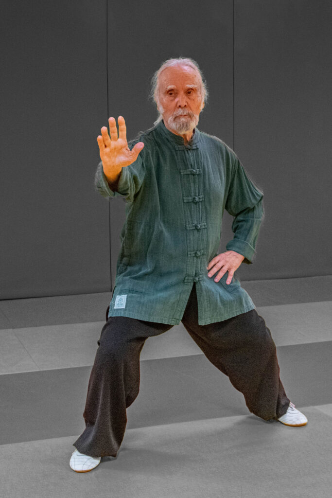 alain portrait gris